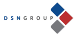 Logo DSN Group